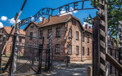 Se i bambini sognano di riaprire Auschwitz…