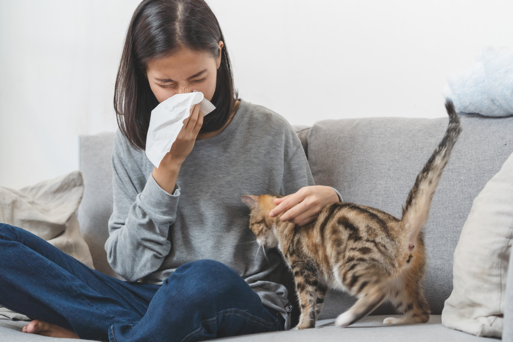allergia gatti
