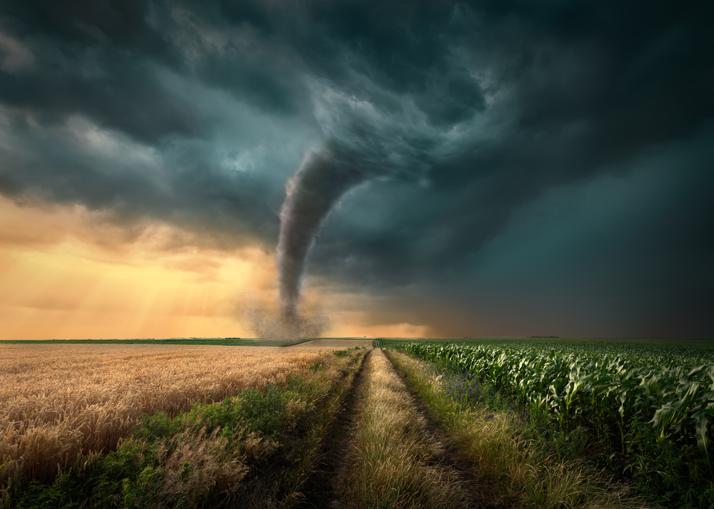tornado ciclone con erba strada sterrata cielo grigio