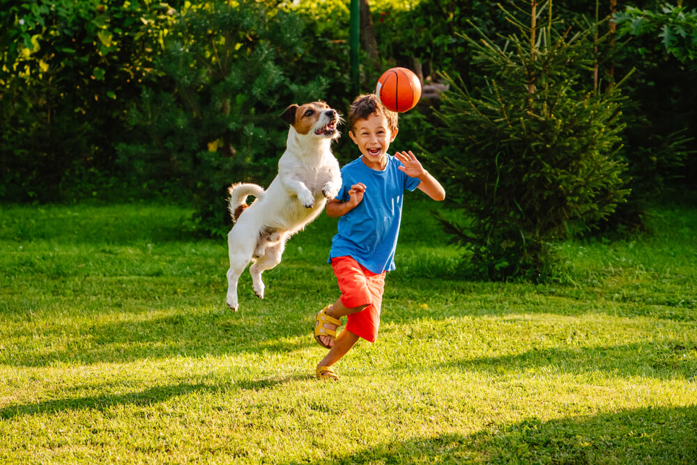 cane e bambino giocano sul prato con palla da basket