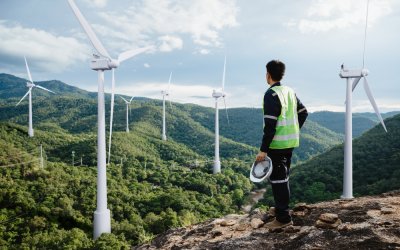 Laurea magistrale in Scienze dell’Economia – indirizzo Green Economy e Sostenibilità