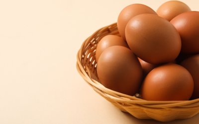 È nato prima l’uovo o la gallina? Finalmente la scienza risponde all’eterno dilemma