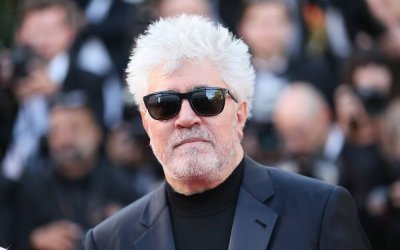 Almodovar esplora il tema dell’eutanasia ne “La stanza accanto”, al cinema dal 5 dicembre