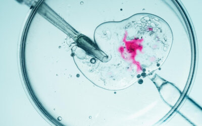 Industria alimentare, scienze forensi, ricerca: ecco gli sbocchi lavorativi più stimolanti con una laurea in Scienze Biologiche