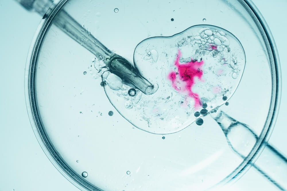Industria alimentare, scienze forensi, ricerca: ecco gli sbocchi lavorativi più stimolanti con una laurea in Scienze Biologiche