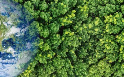 Oggi si celebra la Giornata Internazionale per la Biodiversità