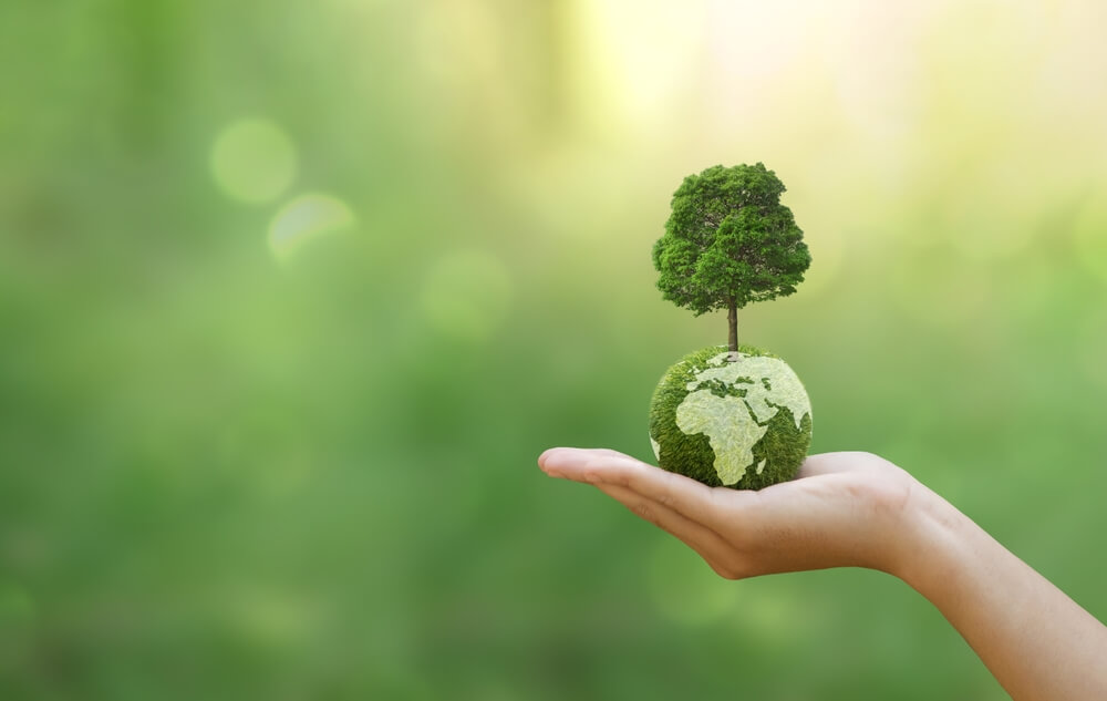 mano regge miniatura pianeta Terra e albero
