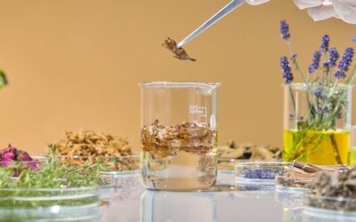Master di I livello Fitoterapia Generale e Clinica