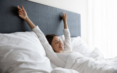 22 gradi è la temperatura ideale per vivere