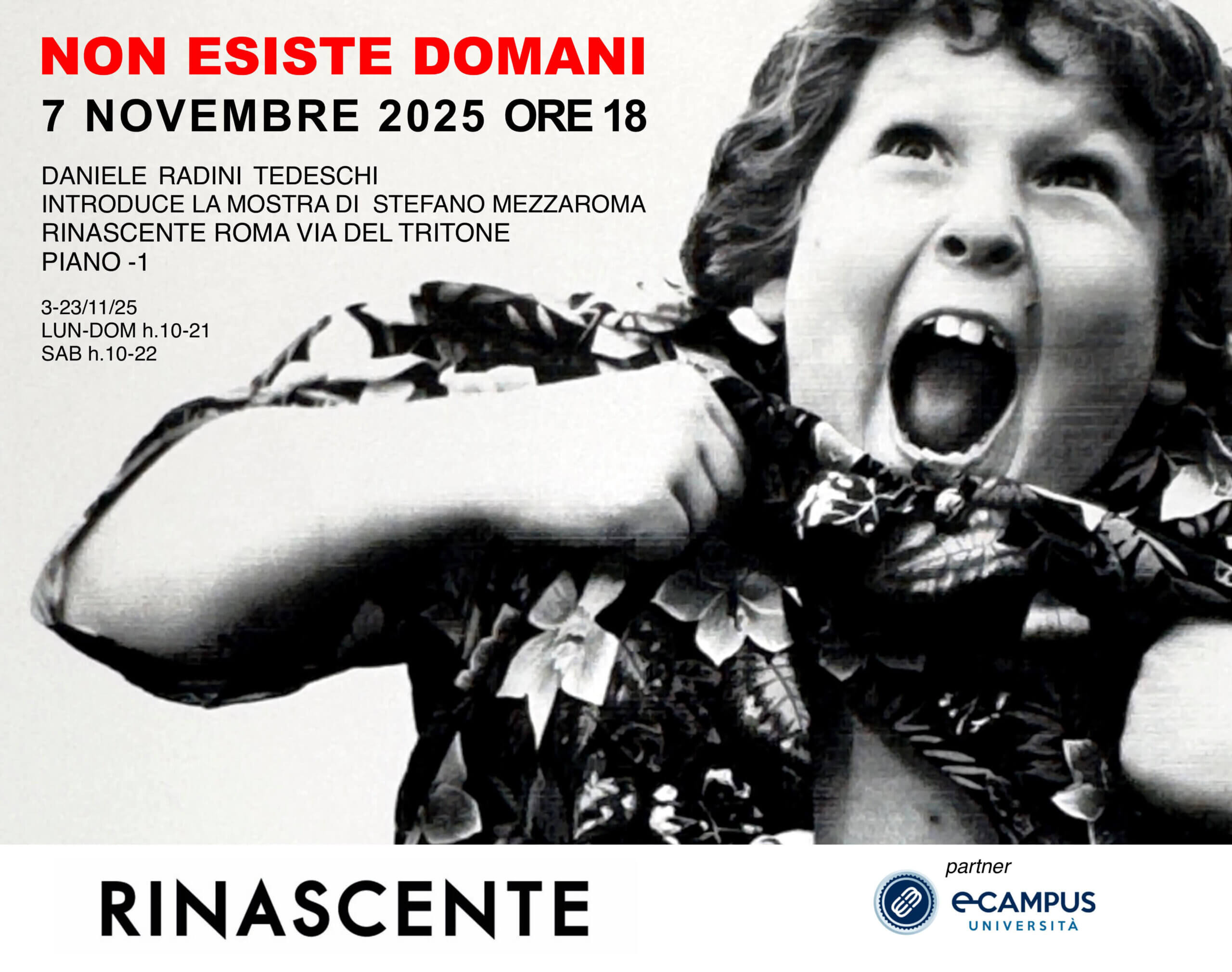mostra stefano mezzaroma
