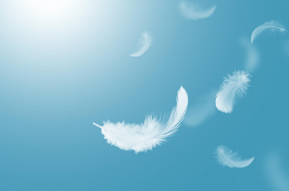 Piuma bianca che fluttua nel cielo