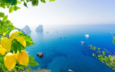 Oggi è la Giornata del Mediterraneo