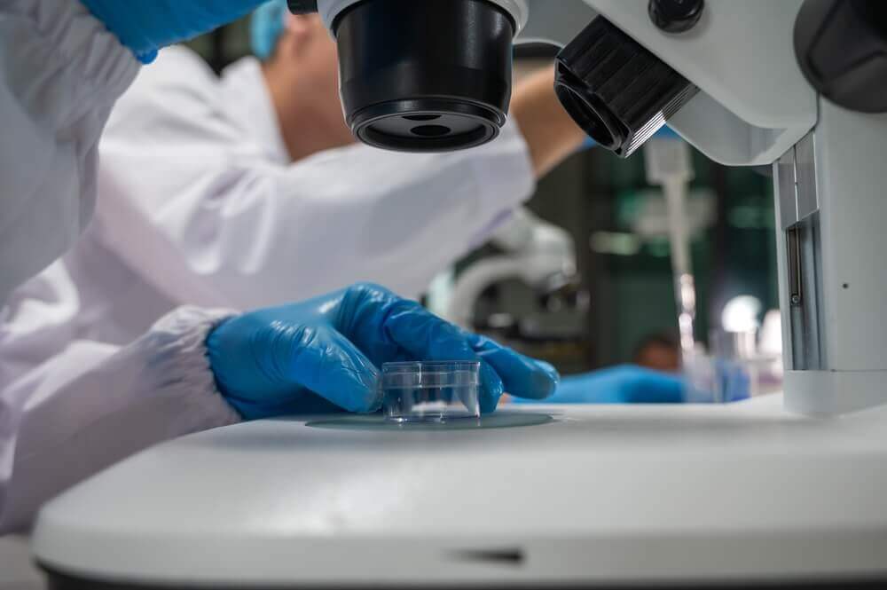 Laurea triennale Scienze Biologiche – Indirizzo Biosanitario e Molecolare (L-13)