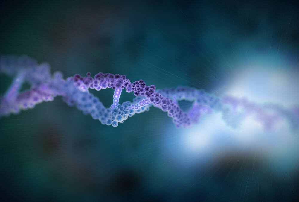 La scoperta della doppia elica del DNA