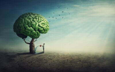 La Teoria della Ghianda di James Hillman