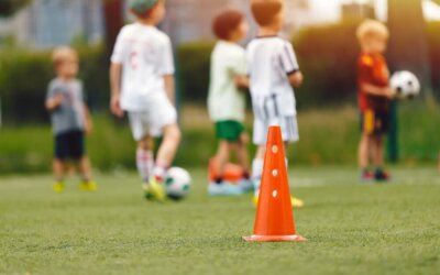 Laurea triennale Scienze delle Attività Motorie e Sportive – Indirizzo Base (L-22)