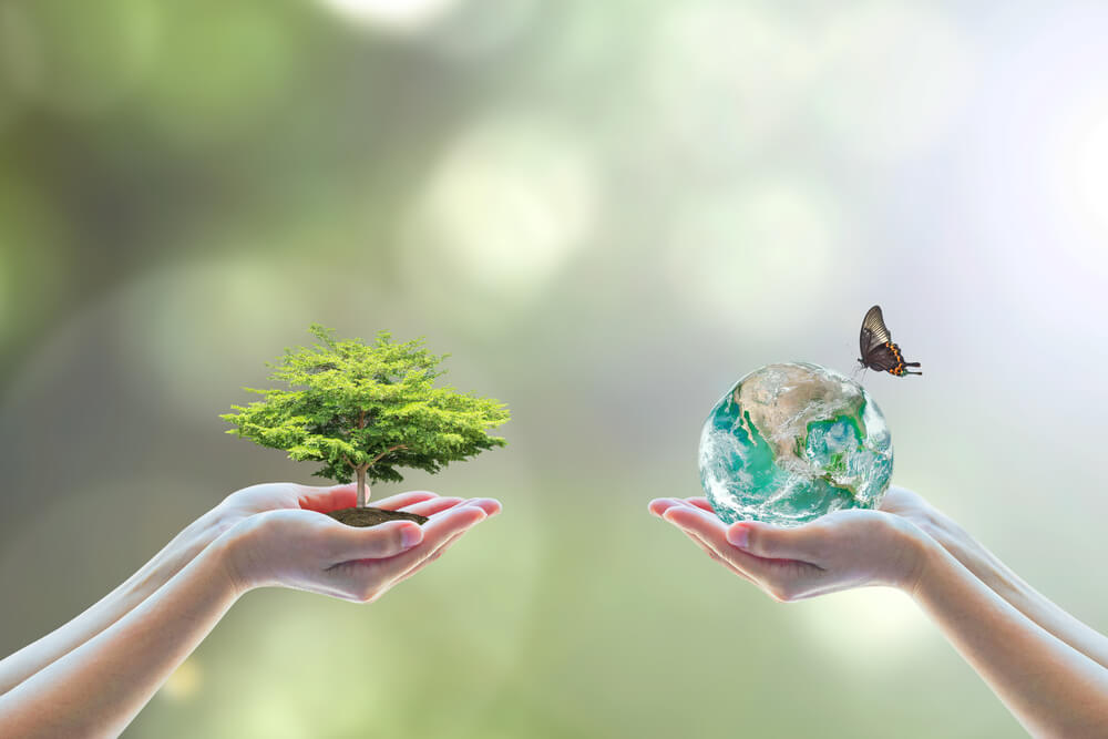 Mani sorreggono un piccolo albero e la sfera terrestre per rappresentare il concetto di biodiversità