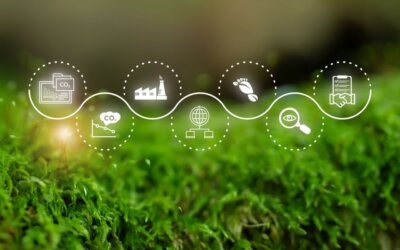 Come diventare Sustainability manager: chi è, competenze e stipendi