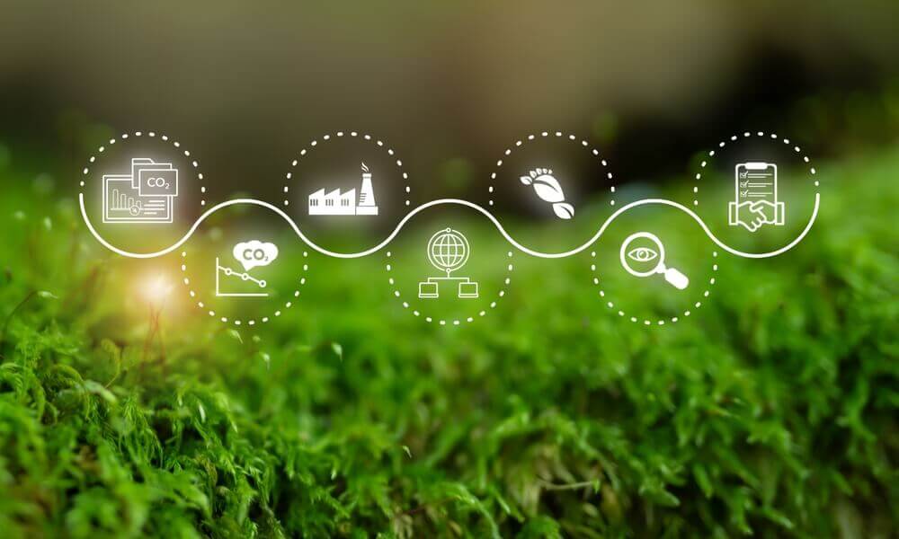 shutterstock_2621928203 rappresentazione sustainability manager