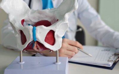 Master di I livello Riabilitazione del pavimento pelvico