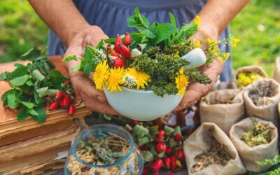 Master di I livello Risorse forestali per la salute. Biomateriali in legno, piante officinali arboree e funghi medicinali