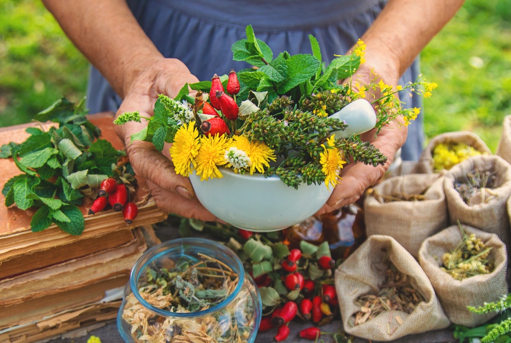 persona tiene in mano erbe officinali per rappresentare master risorse forestali per la salute
