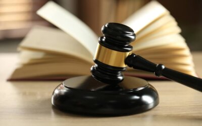 Quanto guadagna un avvocato penalista: stipendio, specializzazioni e percorsi accademici